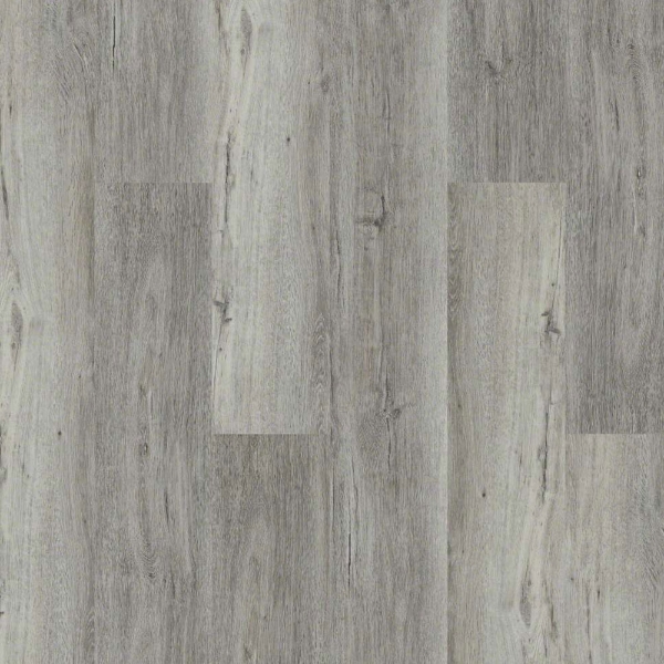 Picture of Shaw Floors - Intrepid HD Plus Wye Oak