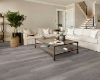 Picture of Shaw Floors - Intrepid HD Plus Wye Oak
