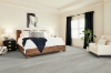 Picture of Shaw Floors - Intrepid HD Plus Distressed Pine