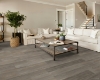 Picture of Shaw Floors - Intrepid HD Plus Salvaged Pine