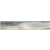 Picture of SOHO Studio Corp - Brazilian Tiger Blue Matte
