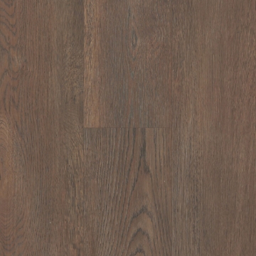 Picture of Next Floor - ScratchMaster Everwood Gunstock