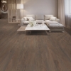 Picture of Next Floor - ScratchMaster Everwood Gunstock