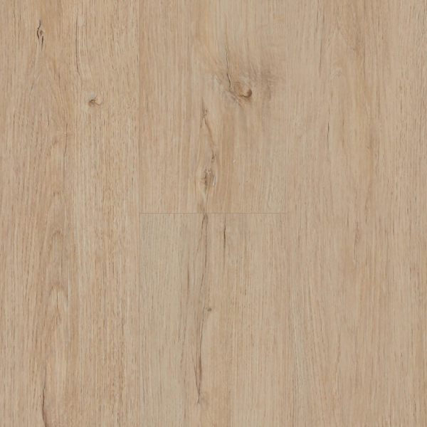Picture of Next Floor - ScratchMaster Everwood Natural Oak
