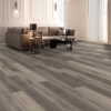 Picture of Next Floor - ScratchMaster Everwood Weathered Oak