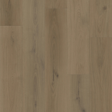 Picture of Southwind - Boundless SPC Forest