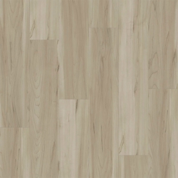 Picture of Southwind - Panoramic Sugar Maple