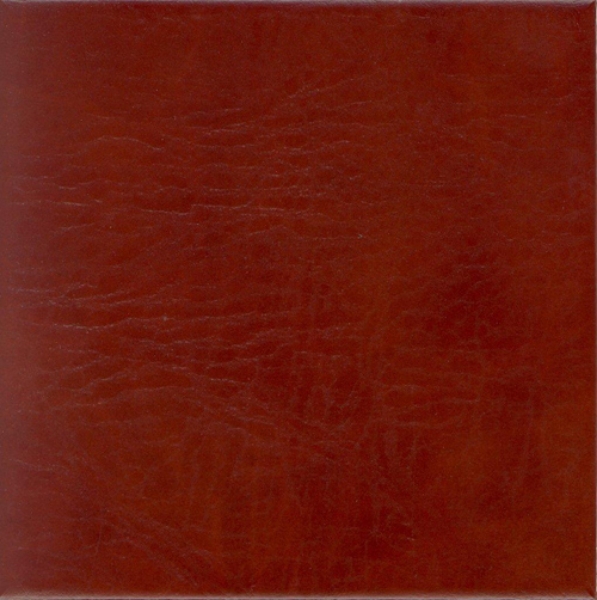 Picture of EcoDomo - Echelon Tile 12x12 Buffalo-Chestnut