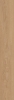 Picture of US Floors - COREtec Originals Classics 7 Stockton Oak