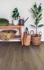 Picture of US Floors - COREtec Originals Enhanced 7 Southmere Oak