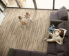 Picture of Kraus Flooring - Keystone Sugar Maple