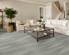 Picture of Shaw Floors - Intrepid HD Plus Misty Oak