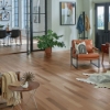 Picture of Somerset - Character Solid 5 Hickory Shale