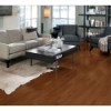 Picture of Somerset - HomeStyle 2 1/4 Gunstock