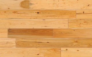 Picture of Johnson - Canyon Ridge Sandstone