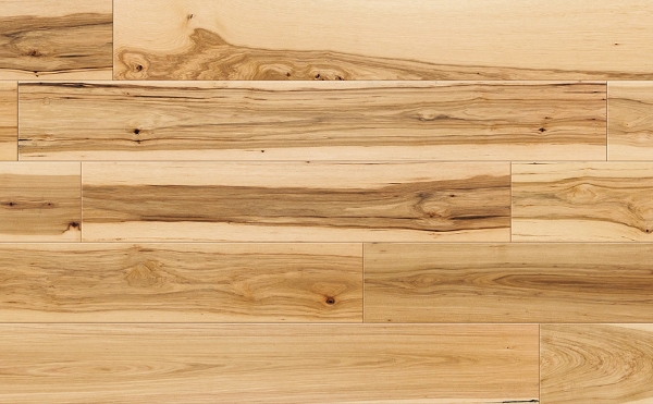 Picture of Johnson - Olympus Athena Hickory
