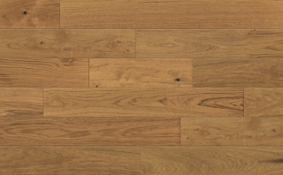 Picture of Johnson - Texas Timber Chestnut