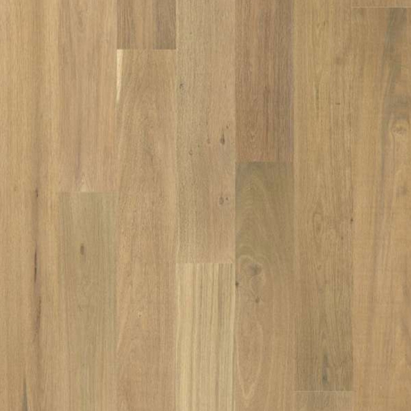 Picture of Shaw Floors - Frontier Smooth Grove