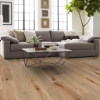 Picture of Shaw Floors - Expressions 7.5 Poetry