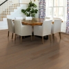 Picture of Shaw Floors - Flat Iron 6 3/8 Jute