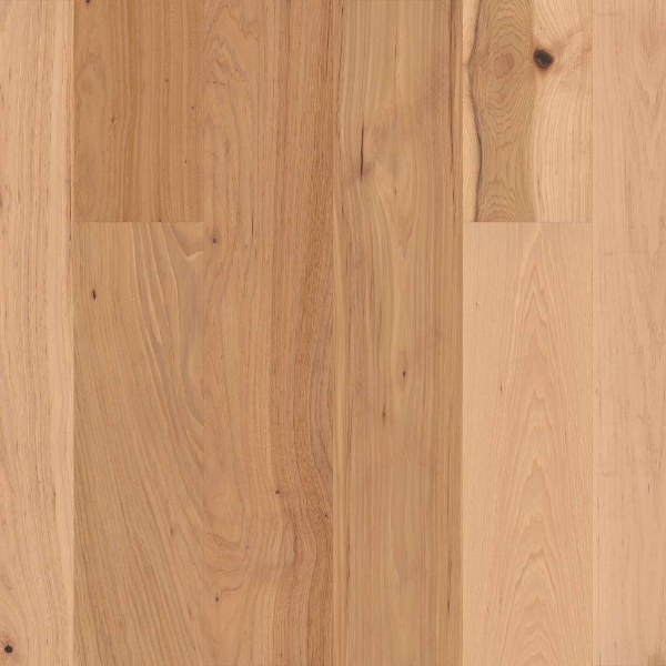 Picture of Shaw Floors - Kingston Hickory Coat Of Arms