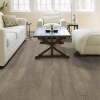 Picture of Shaw Floors - Manhattan Roosevelt