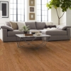 Picture of Shaw Floors - All In II 5 Caramel