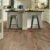 Picture of Shaw Floors - Impressions Maple Vista