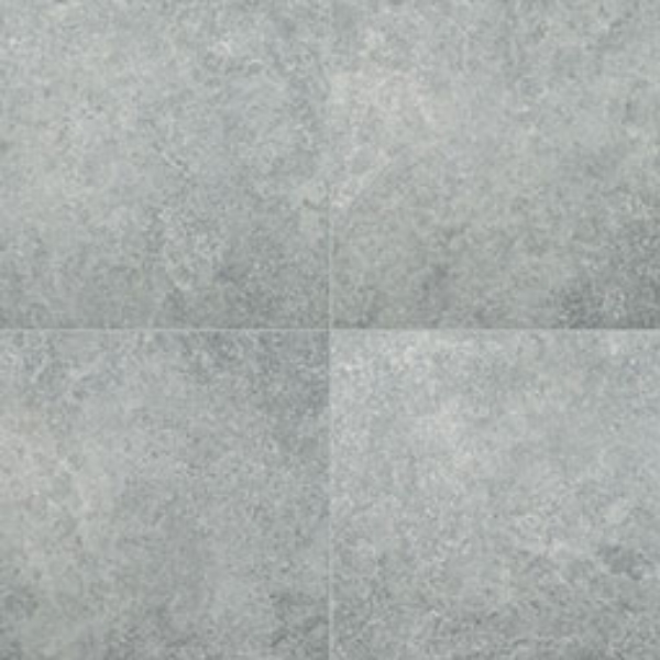 Picture of MS International - Arterra 24 x 24 Porcelain Pavers Legions Lunar Silver