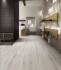 Picture of Roca - Everglade Silver Gray