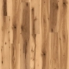 Picture of Stanton - Enchanted Forest Desert Haze
