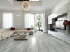 Picture of Roca - Lithology 12 x 24 Astoria Gray