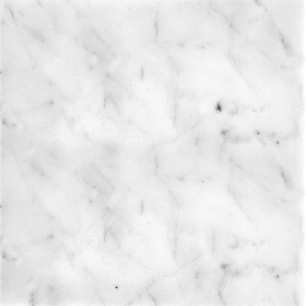 Picture of MiR Mosaic - Field Tile 12 x 12 Honed Carrara