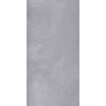 Picture of Roca - Liverpool 12 x 24 Matte Cinza