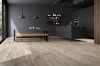 Picture of Emser Tile - Hollywood Beige