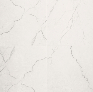 Picture of MS International - Brighton 24 x 24 Polished Grey