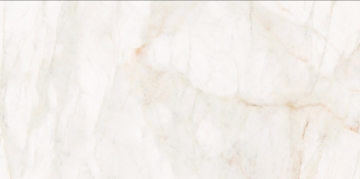 Picture of Roca - Marble Dolomita 24 x 48 Dolomita 7mm