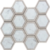 Picture of MiR Mosaic - Savannah Fairway