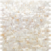 Picture of MiR Mosaic - Shell Daytona Beach