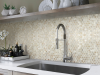 Picture of MiR Mosaic - Shell Jupiter Beach