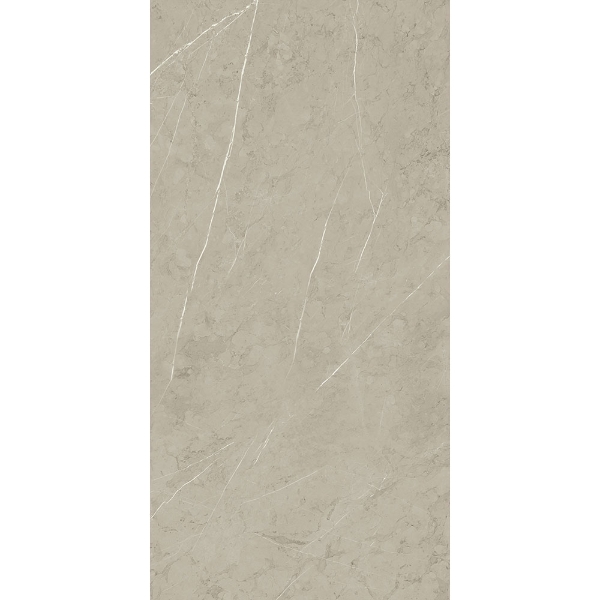 Picture of Roca - Piasentina 12 x 24 Matte Silver