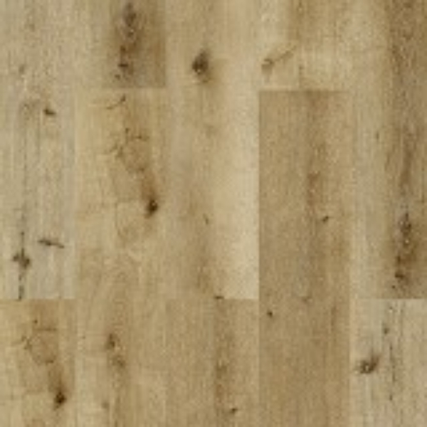 Picture of Signature Collection - SelectStyle Pro20 Sandy Beach