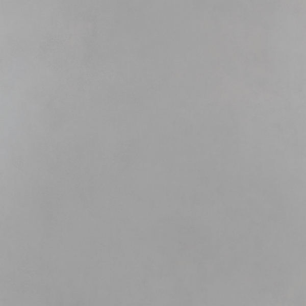 Picture of Roca - Pro 24 x 24 Polished Concrete