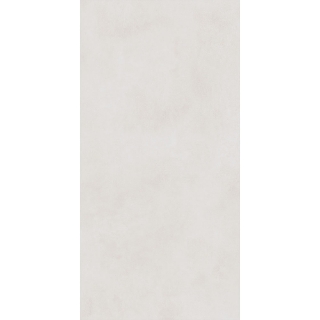 Picture of Roca - Pro 24 x 48 Matte Ivory