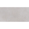 Picture of Roca - Pro Max 12 x 24 Matte ABS Cement