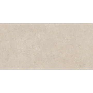 Picture of Roca - Savoy 24 x 48 Fiorito Beige