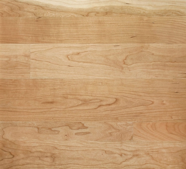 Picture of Sheoga - Clear Smooth 3.25 Cherry Natural