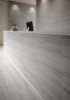 Picture of Roca - Serpentino Gris