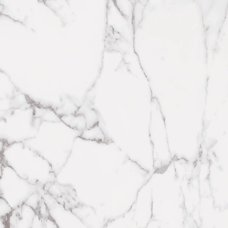 Picture of Roca - Statuary II 24 x 24 Matte White