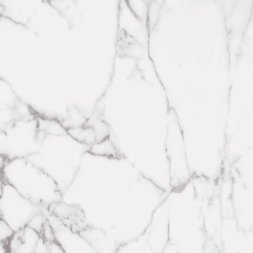 Picture of Roca - Statuary II 24 x 24 Matte White
